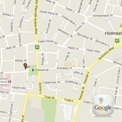 Hotel Ginkgo 4*